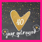 Robijn - 40 jaar  width=