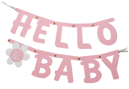 Eekhoorn opgraven japon Unieke geboorteslinger Hello Baby- It's a girl, incl. setje zuignapjes