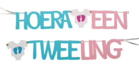 hoera een tweeling slinger jongen/meisje
