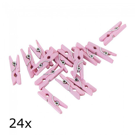 Roze wasknijpertjes, 24 stuks