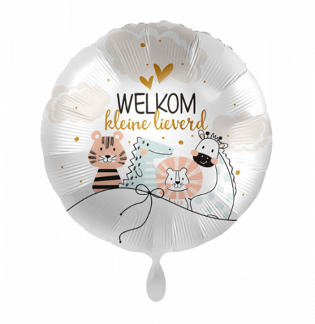 Geboorte folieballon Welkom kleine lieverd, 43cm