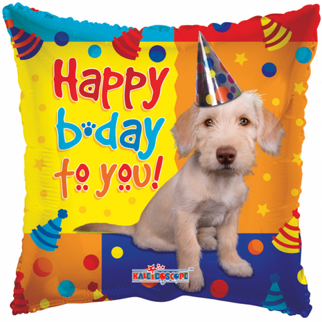 folieballon Happy B-day vierkant Party dog