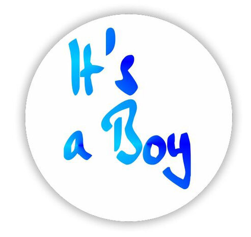 etiket / sticker Its a Boy, per stuk