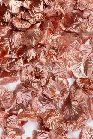 Rozenblaadjes rose gold, 144 st.