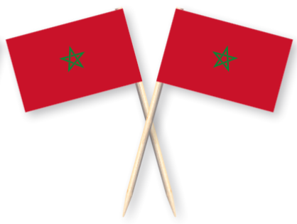 Party prikkers / picks Marokko, 50 st.