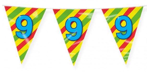 9 jaar vlaggenlijn Happy Party, 10 m