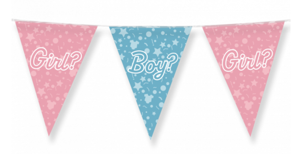 Girl or Boy Gender Reveal vlaggenlijn, 10 m