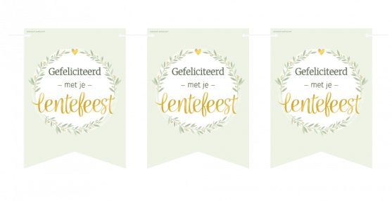 Gefeliciteerd met je Lentefeest vlaggenlijn, 8,5 meter