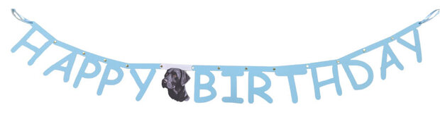 Happy birthday slinger met labrador