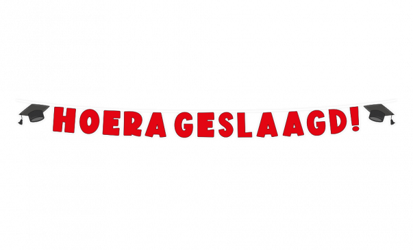 Hoera Geslaagd letterslinger