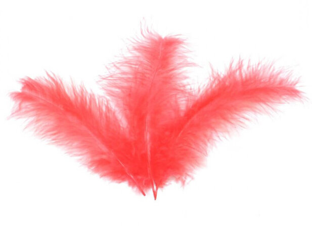 Decoratie veertjes, rood, 100x
