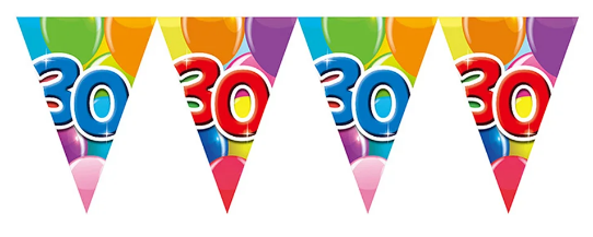 Vlaggenlijn 30 jaar, 10 m, plastic