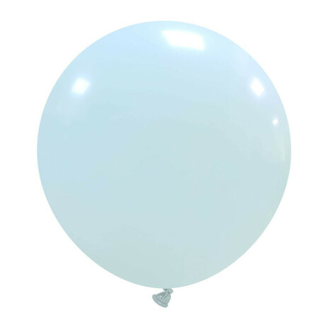 Grote babyblauw (pastel) ballonnen, 48 cm / 19 inch