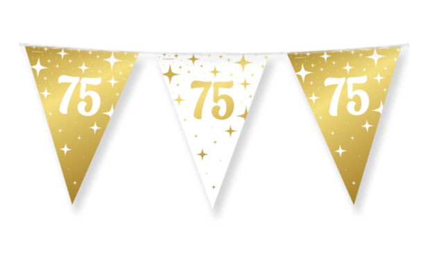 75 jaar Vlaggenlijn Fancy Party