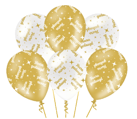 Geslaagd ballonnen fancy party, 6x