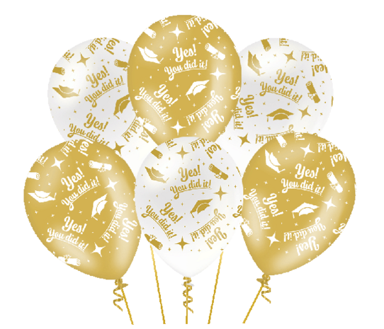 Yes You did it ballonnen fancy party, 6x