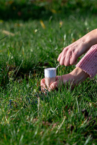 Rookbom gender reveal blauw