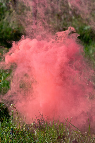 Rookbom gender reveal roze