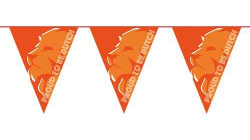 Oranje leeuw proud to be Dutch vlaggenlijn, 6m