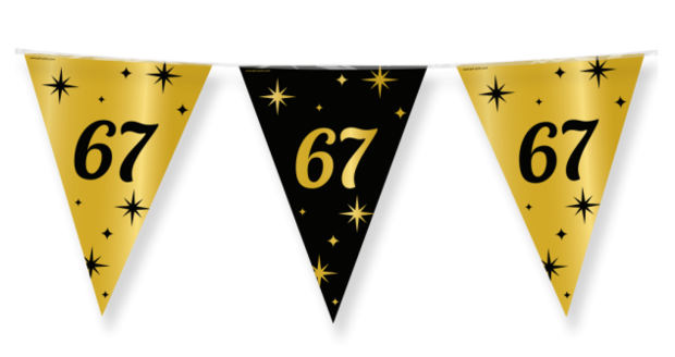 67 jaar classy party vlaggenlijn, 10 m