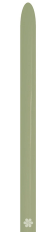 Eucalyptus 160 modelleer