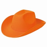 Cowboyhoed Oranje Vilt