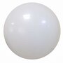 Chrome wit bubble ballon, 24 inch