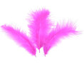 Decoratie veertjes, fuchsia, 100x