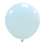 Grote babyblauw (pastel) ballonnen, 48 cm / 19 inch