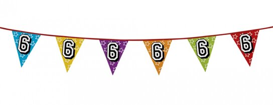 6 jaar, Holografische Vlaggenlijn, 8 meter 6 jaar, Holografische Vlaggenlijn, 8 meter