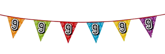 9 jaar, Holografische Vlaggenlijn, 8 meter 9 jaar, Holografische Vlaggenlijn, 8 meter