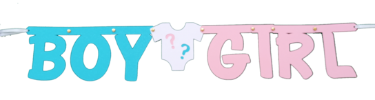 Boy or Girl - Gender Reveal slinger, incl. zuignapjes Boy or Girl - Gender Reveal slinger, incl. zuignapjes
