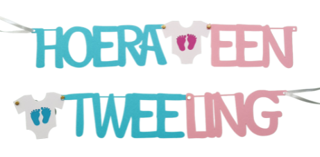 Hoera een Tweeling - tekstslinger mix roze/blauw + zuignapjes Hoera een Tweeling - tekstslinger mix roze/blauw + zuignapjes