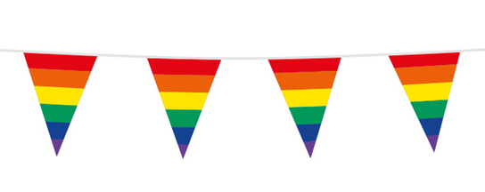 Regenboog (per vlaggetje) Vlaggenlijn, 10 meter Regenboog (per vlaggetje) Vlaggenlijn, 10 meter
