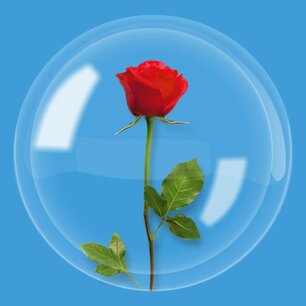 Transparante bubble ballon, 50 cm, extra wijd Transparante bubble ballon, 50 cm, extra wijd