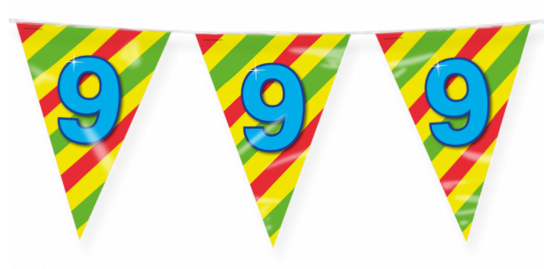 9 jaar, Vlaggenlijn Happy Party, 10 meter 9 jaar, Vlaggenlijn Happy Party, 10 meter