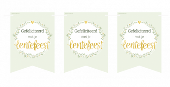 Gefeliciteerd met je Lentefeest Vlaggenlijn , 6 meter Gefeliciteerd met je Lentefeest Vlaggenlijn , 6 meter