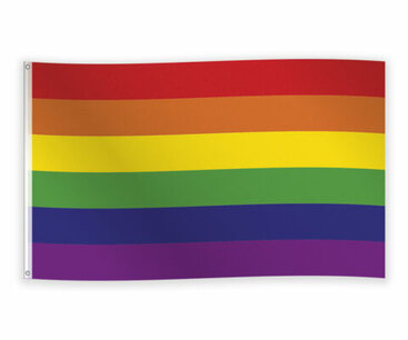 Regenboog Pride vlag, 90x150 cm Regenboog Pride vlag, 90x150 cm