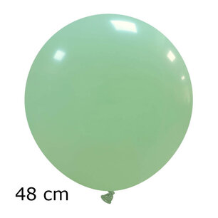 Mint Groen groot pastel ballon (48cm) Mint Groen groot pastel ballon (48cm)
