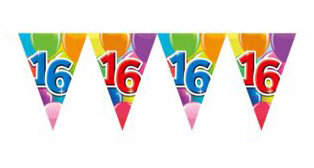 16 jaar, Vlaggenlijn Feest, 10 meter 16 jaar, Vlaggenlijn Feest, 10 meter