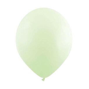Mint Pastel ballon (30cm) Mint Pastel ballon (30cm)