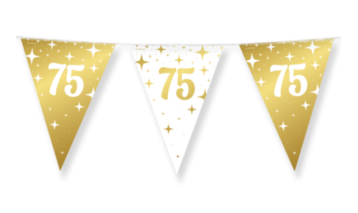 75 jaar Vlaggenlijn Fancy Party, 10 m.