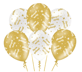 Geslaagd Ballonnen Fancy Party, 6 stuks