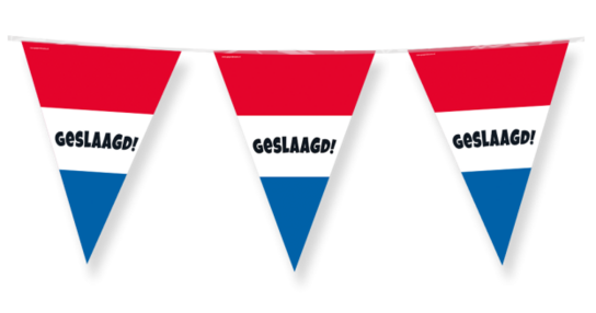 Geslaagd Vlaggenlijn rood-wit-blauw, 10 meter