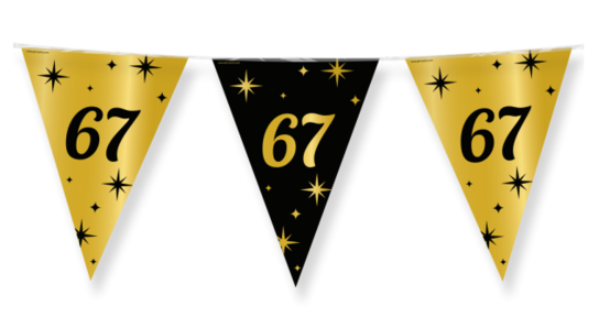 67 jaar Vlaggenlijn Classy Party, 10 m.