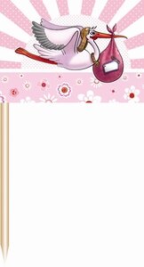 Prikkers Geboorte Meisje , 50 stuks